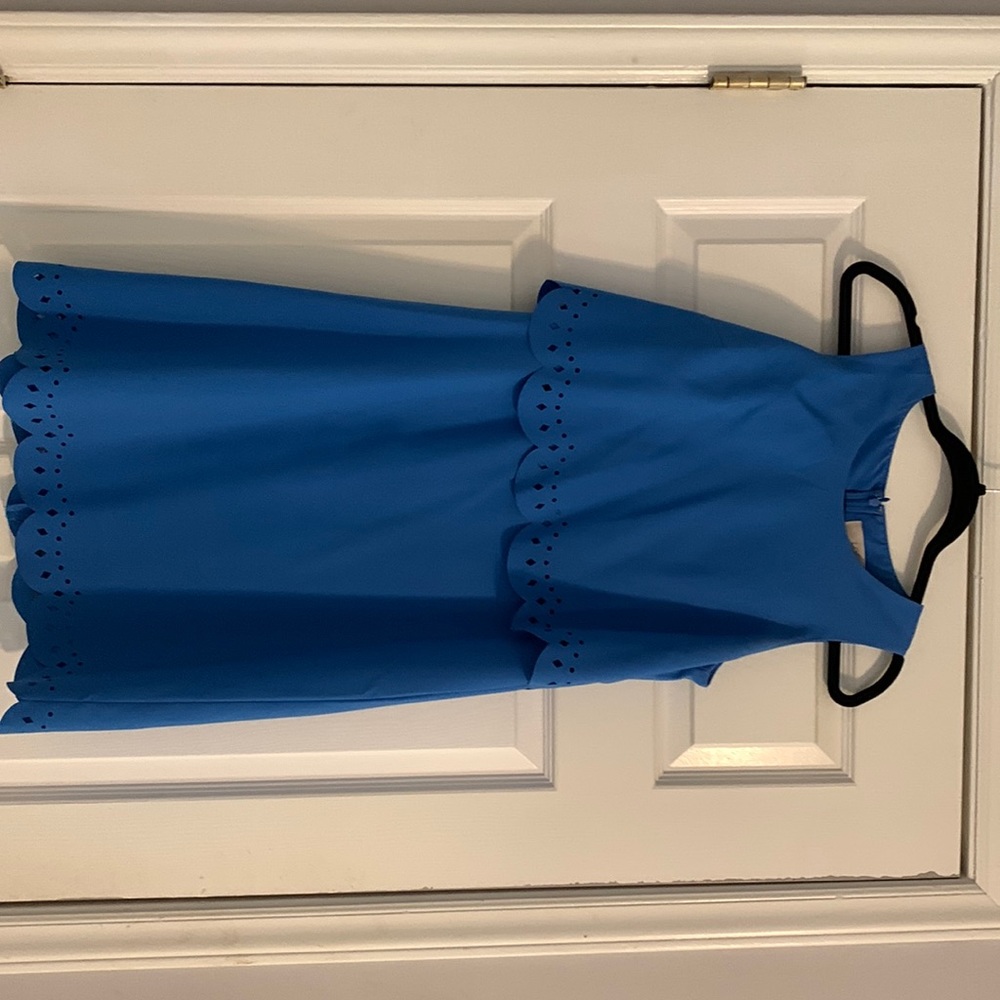 Ann Taylor Loft Shift Dress